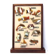 Wooden Magnets Handcrafted  - Timber and Shell